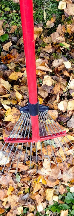 Yard clean ups Craigieburn
