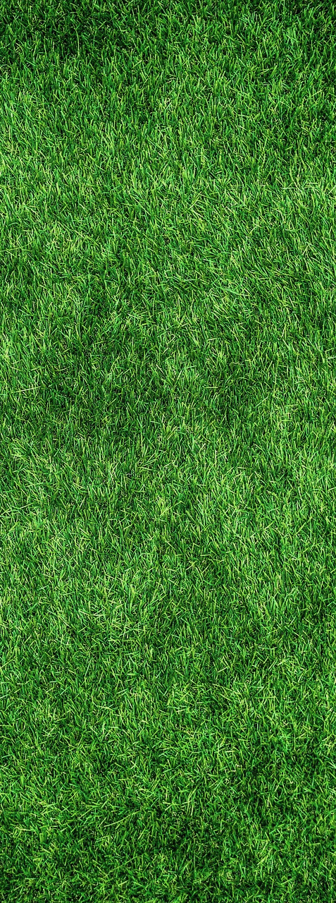 Grass cutting service near me Craigieburn